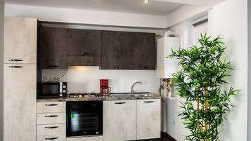 Executive Apartment | Private kitchen | Fridge, microwave, oven, coffee/tea maker