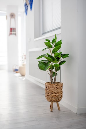 Una planta en maceta dentro de una cesta tejida, sobre un taburete de madera, en un pasillo con paredes blancas y suelo de color claro.