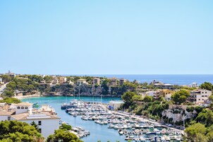 Vista desde la propiedad