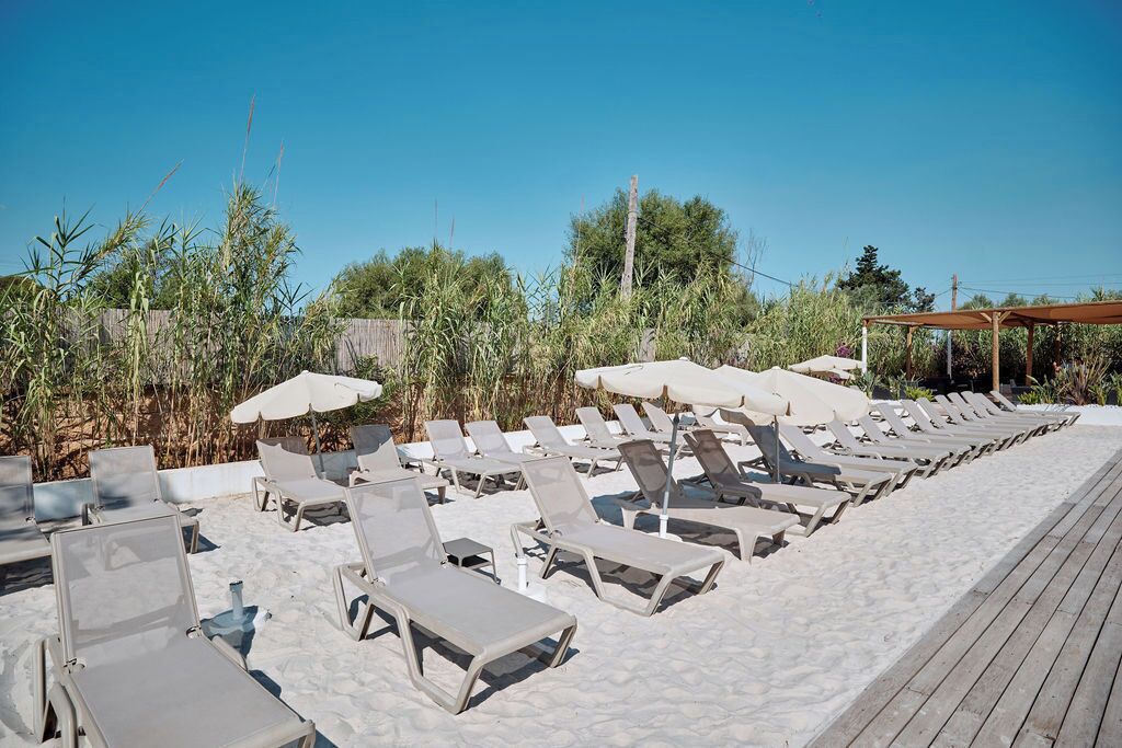 Zona de playa con tumbonas y sombrillas, rodeada de vegetación.