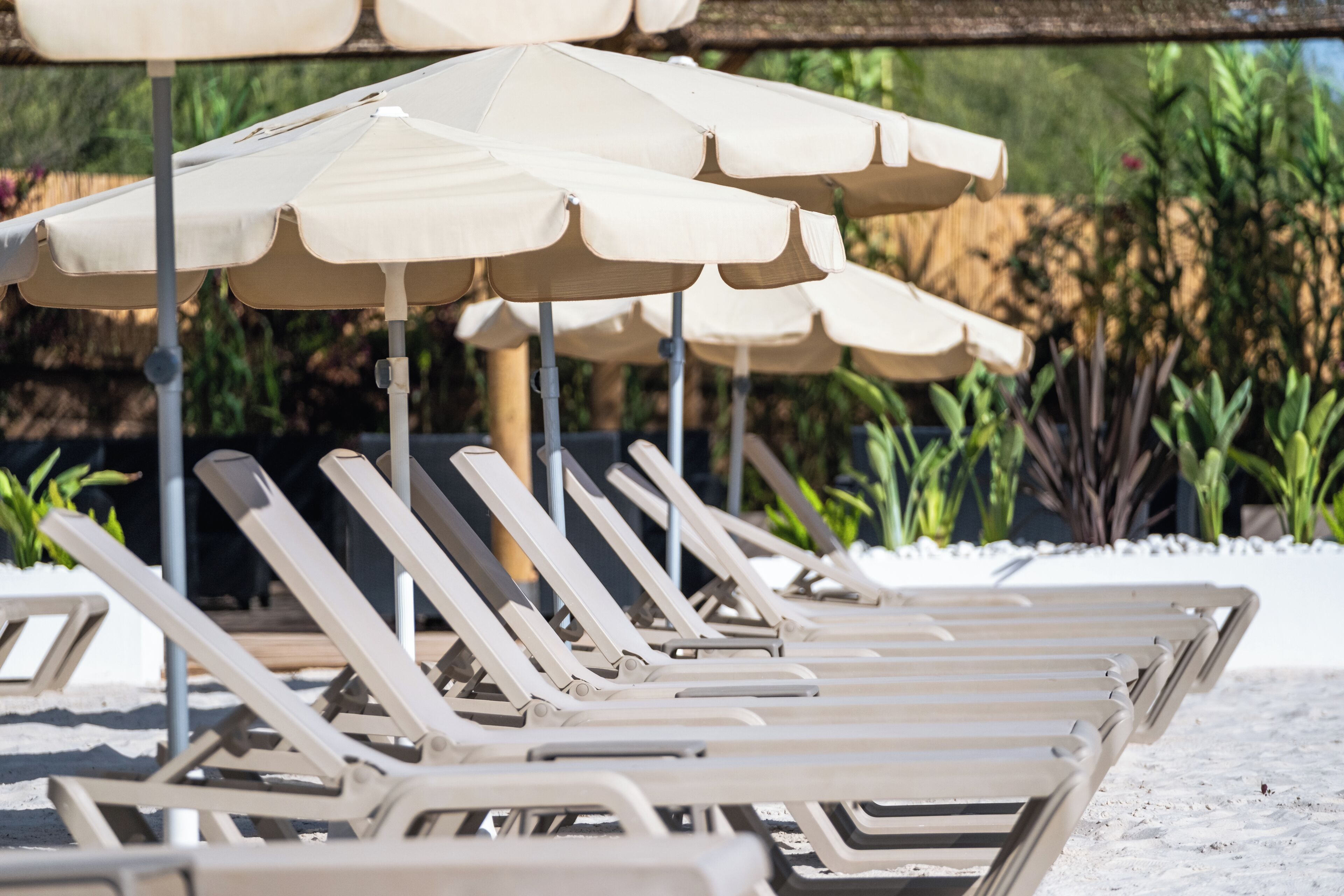 A row of sun loungers with beige umbrellas in a garden setting.