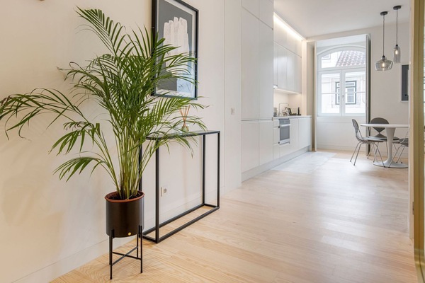 Departamento estándar (1) | Pasillo