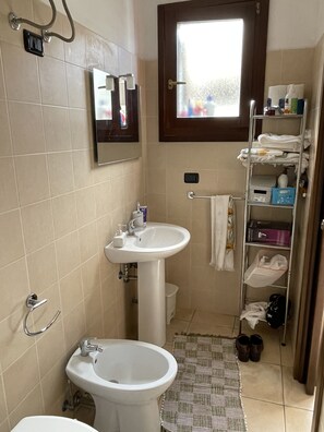 Shower, hair dryer, bidet, towels