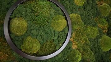 Un pot de fleurs rond, orné de différentes plantes vertes et de mousse.