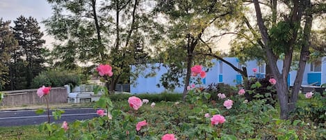 Jardín