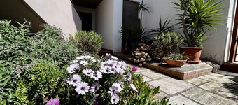 Pini apartment in Follonica