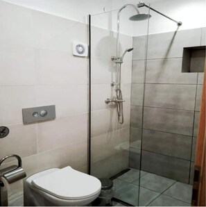 Shower, hair dryer, bidet, towels