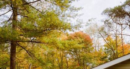 Cozy Cottage near Cook Forest Park & ANF