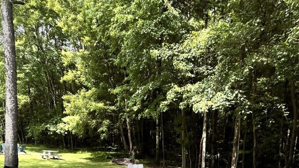 Un espace extérieur circulaire aménagé avec des sièges, doté d’un foyer, entouré d’un anneau de gravier et comprenant trois fauteuils Adirondack.