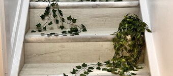 The Boho Oasis: Luxurious Studio Apartment, Quiet Court, Close to All Amenities!