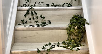 The Boho Oasis: Luxurious Studio Apartment, Quiet Court, Close to All Amenities!