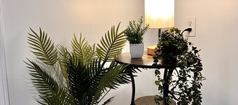 The Boho Oasis: Luxurious Studio Apartment, Quiet Court, Close to All Amenities!