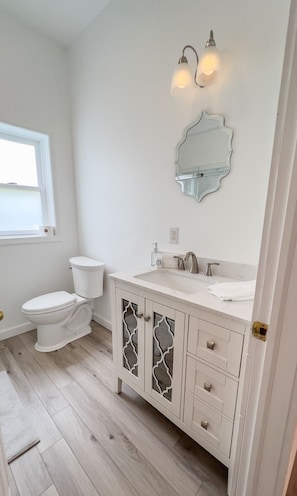 Combined shower/tub, hair dryer