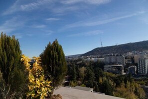 Vista desde la habitación
