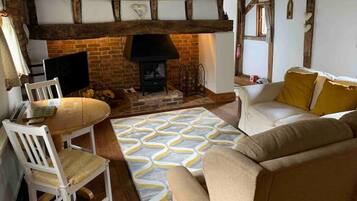 Smart TV, fireplace, books