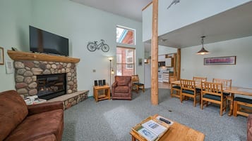 电视、壁炉、DVD 播放器