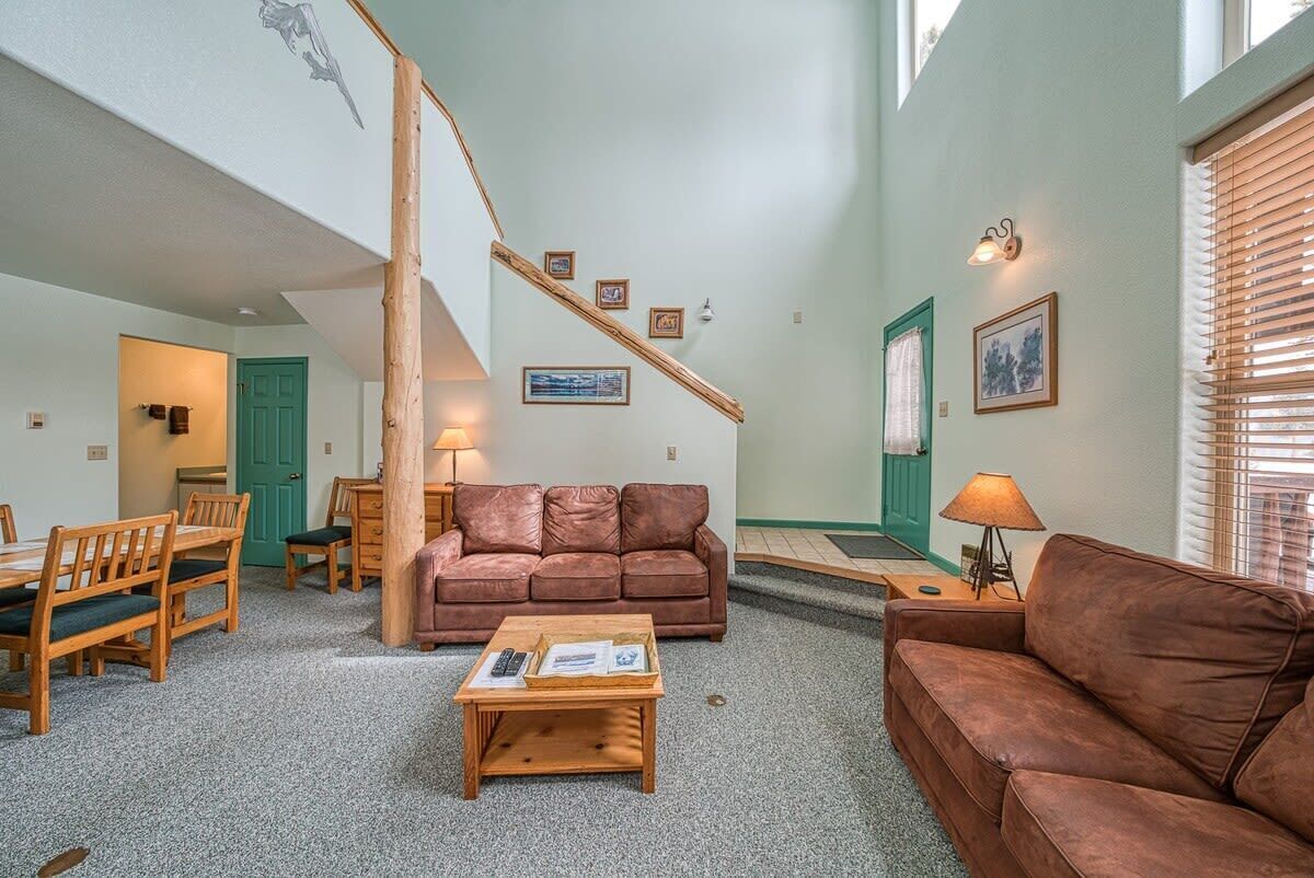 电视、壁炉、DVD 播放器