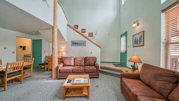 电视、壁炉、DVD 播放器