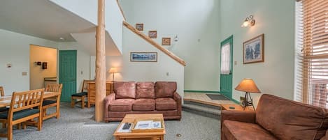 Televisión, chimenea, reproductor de DVD