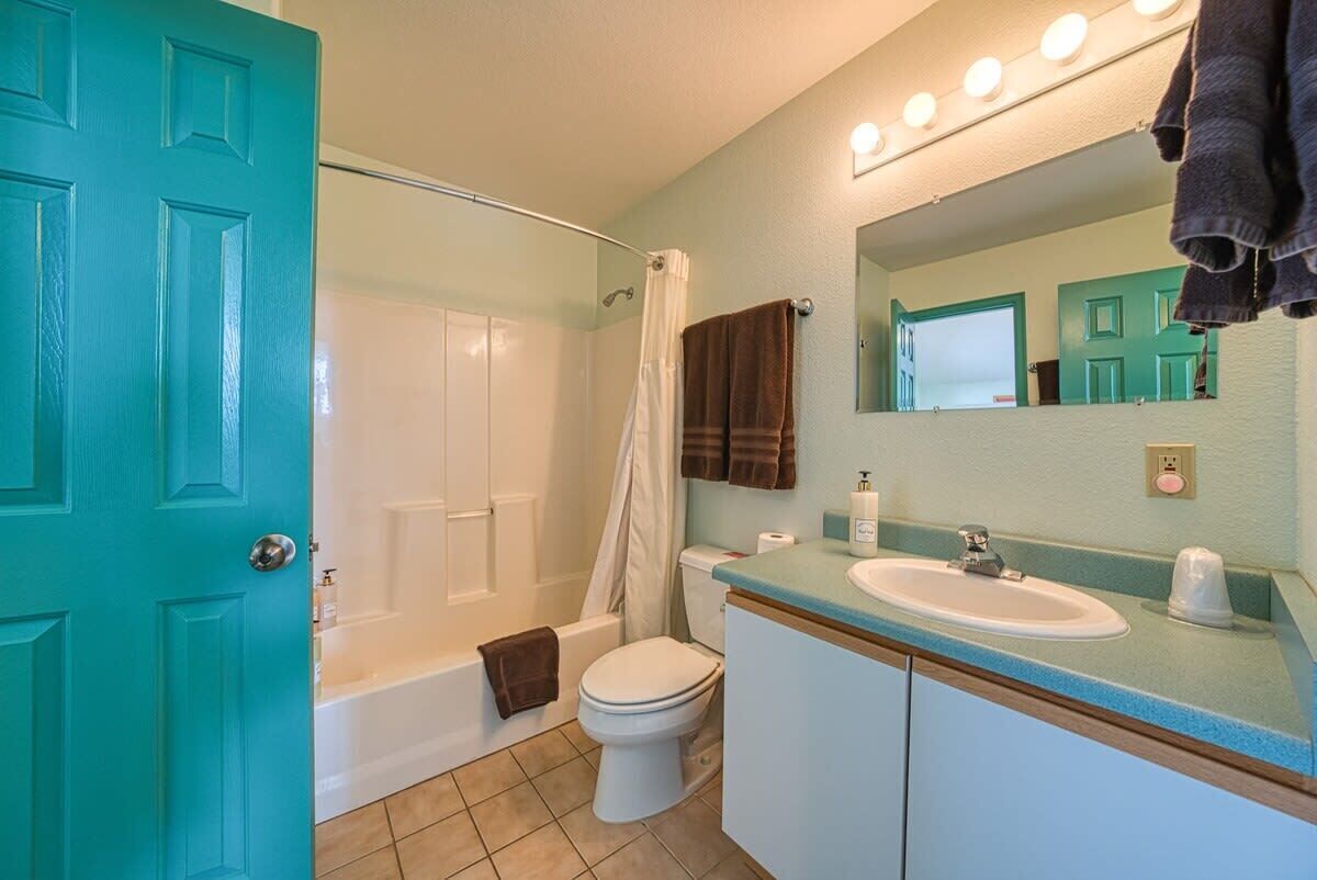 浴缸、吹风机、毛巾