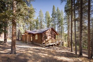 A rustic cabin with a metal roof, surrounded by tall pine trees. - 2BR Cabin–⁠Deck Lake View & Access–⁠BBQ, Pets OK! (Leadville)