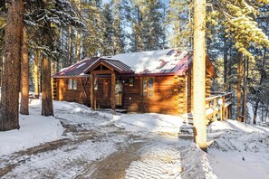 A log cabin with a metal roof, surrounded by snow-covered ground and tall trees. - 2BR Cabin–Deck Lake View & Access–BBQ, Pets OK! (Leadville)