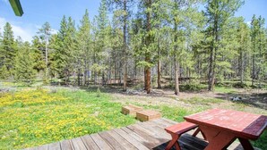 A wooden deck with a picnic table and benches, surrounded by a forest with pine trees. - 3BR Cozy Cabin - Tranquil Forest - Pet Friendly (Leadville)