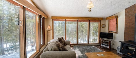 Televisión, chimenea, estéreo, oficina