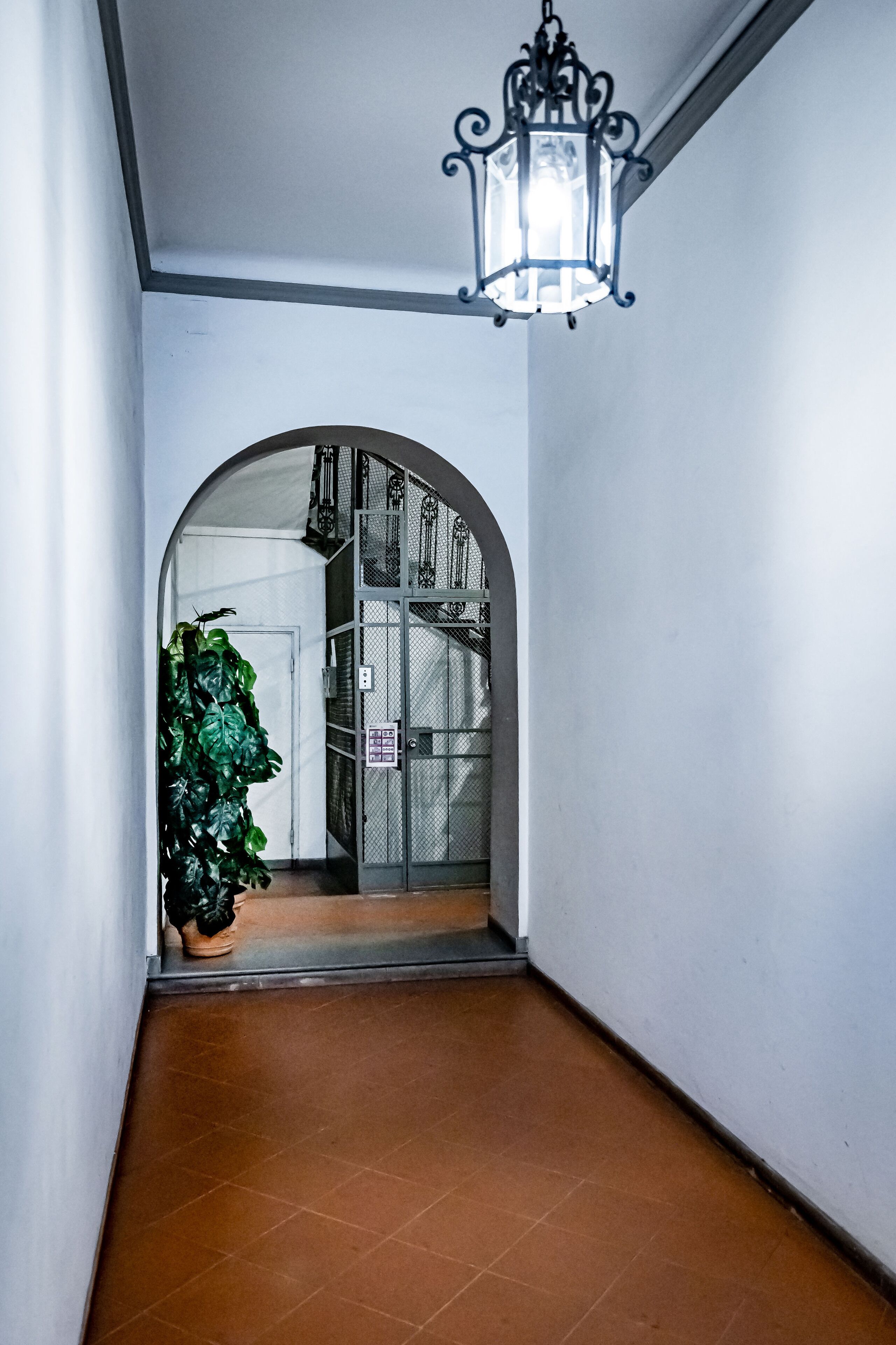 A hallway with a tiled floor, a potted plant, a metal gate, and a hanging light fixture.