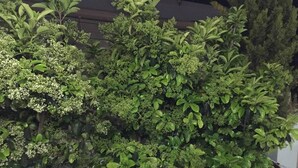 アパートメント | 施設の敷地