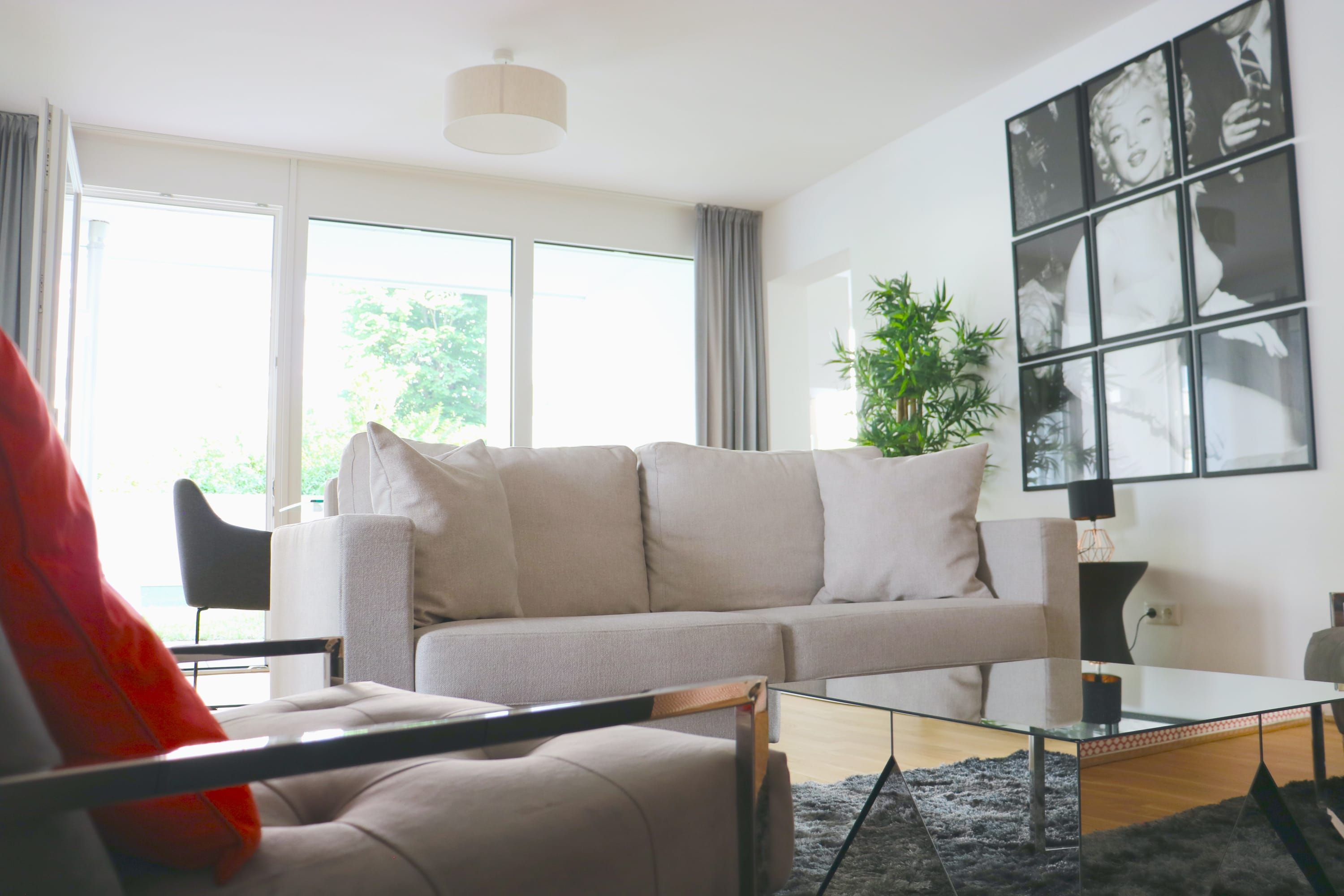 Ein modernes Wohnzimmer mit einer Couch, einem Glastisch und einer Pflanze.