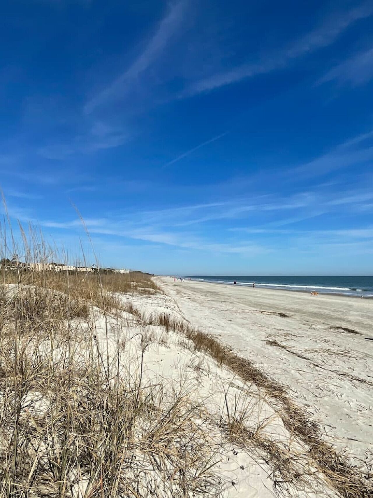 A sandy beach with dunes and a clear blue sky.