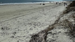 A beach with a clear sky, visible contrails, and the ocean in the background. - New Cottage: 4th row & fully fenced back yard! (Hilton Head Island)