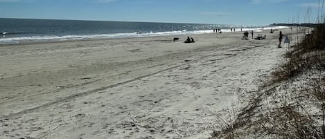 Beach nearby
