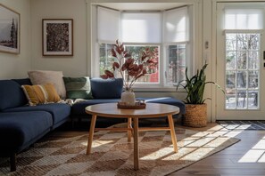 Smart TV, fireplace, books, music library