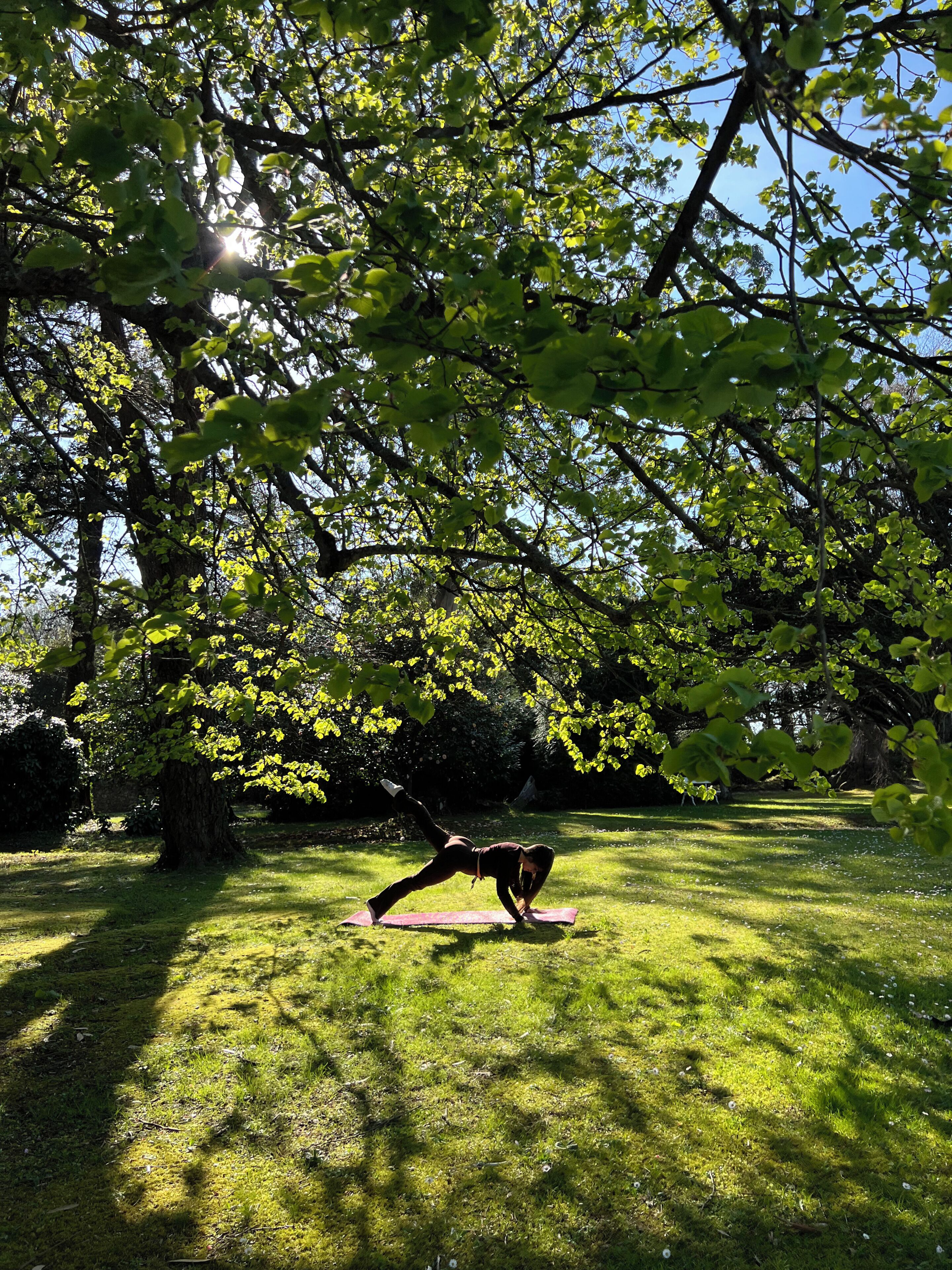 A person performing a yoga pose on a mat in a park with trees and grass.