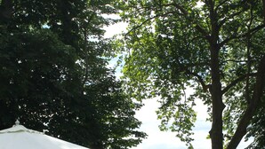 A patio with wooden lounge chairs and a white umbrella, overlooking a scenic landscape with trees and distant hills.