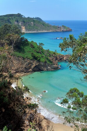 A coastal landscape with a beach, rocky cliffs, and dense greenery. - Hotel Boutique Villa del Marqués - Adults Only (Muros de Nalon)
