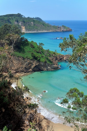A coastal landscape with a beach, rocky cliffs, and dense greenery.. Hotel Boutique Villa del Marqués - Adults Only
