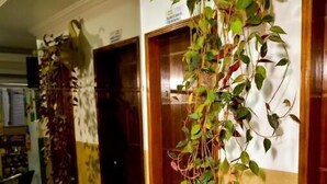 A hallway with a large potted plant hanging from the ceiling, a wooden door, and a tiled floor. - Hotel Capital da Fé (Aparecida)