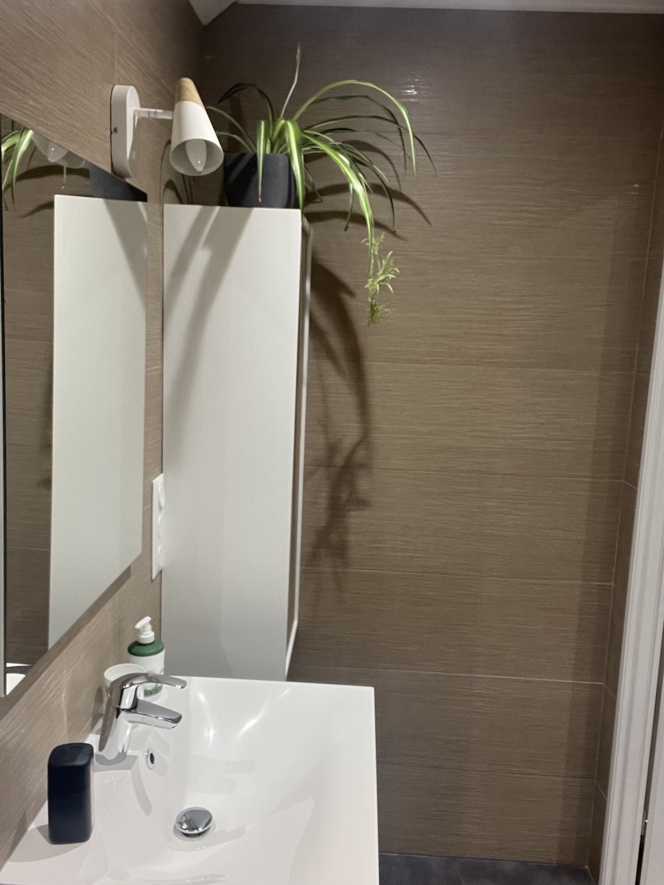 Un baño con lavamanos blanco, espejo, planta y toallero.