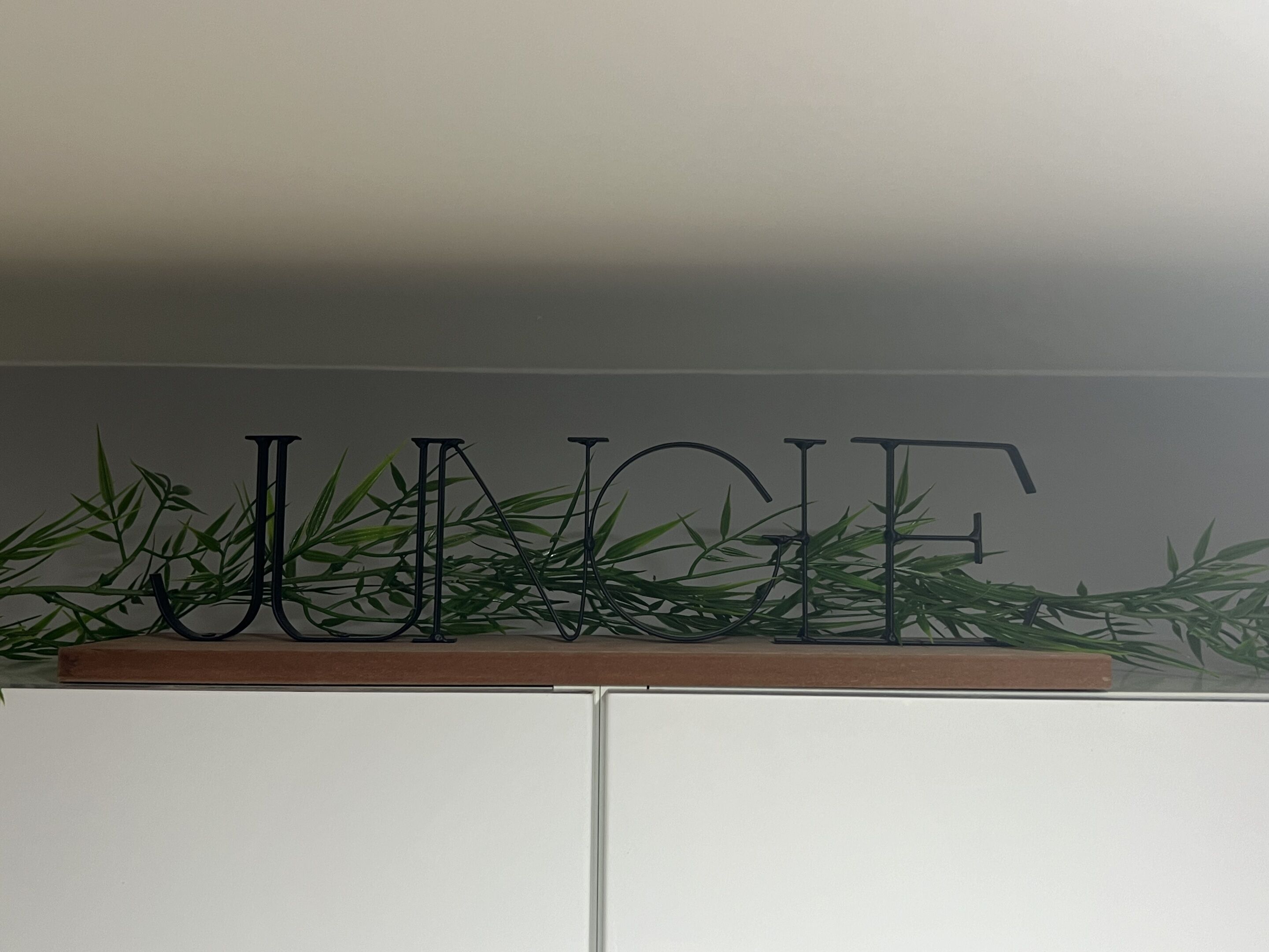 Ein Regal mit dem Schriftzug 'JUNG' und Grünpflanzen.