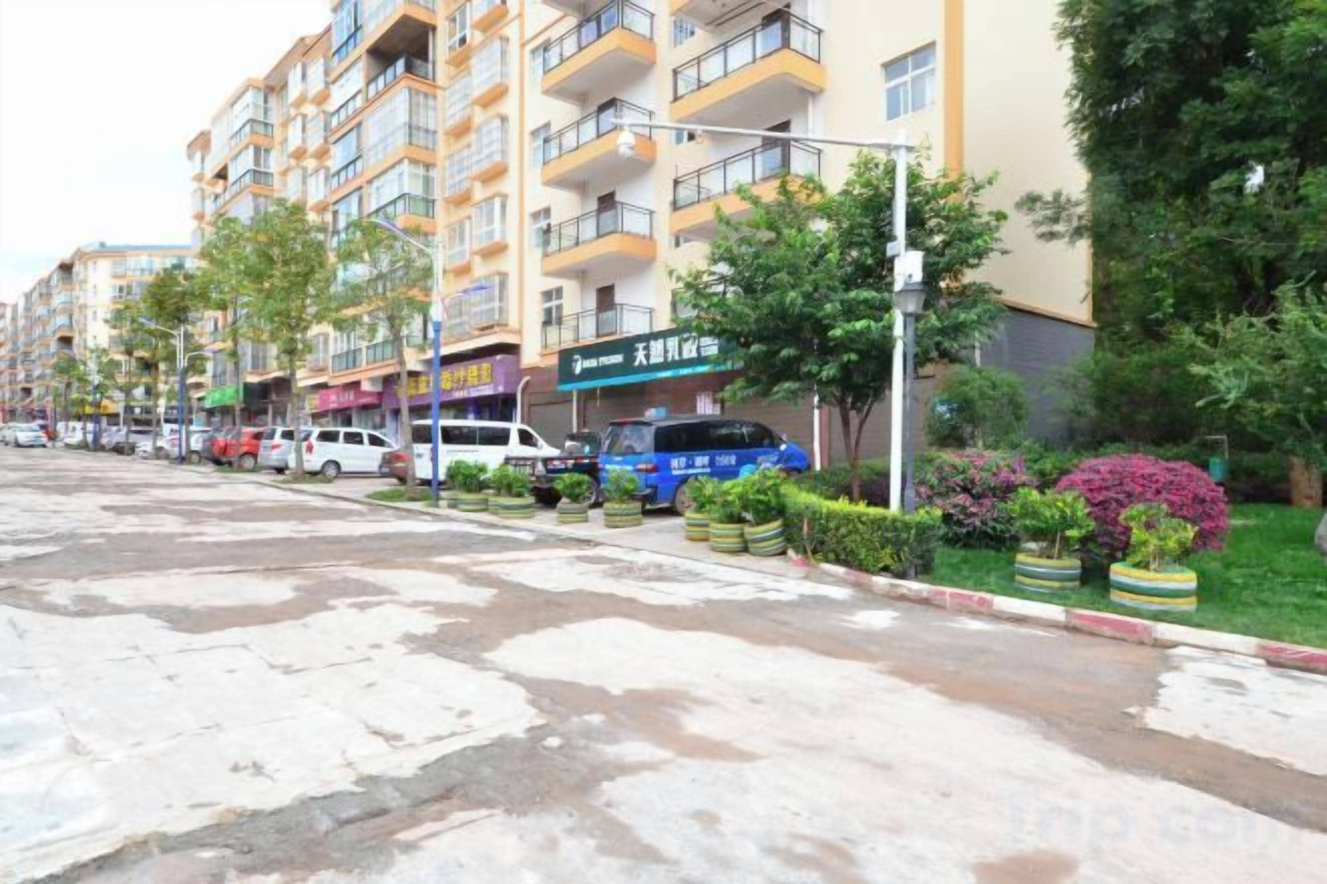 Un edificio residencial de varios pisos con balcones, coches aparcados y una calle bordeada de árboles y arbustos.