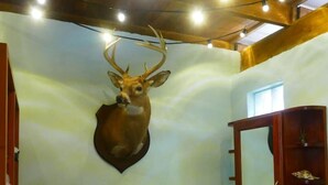 A bathroom with a mounted deer head, wooden cabinets, a sink, and a mirror. - Riverside open space concept cabin @ Riverhill (Cristo Rey)