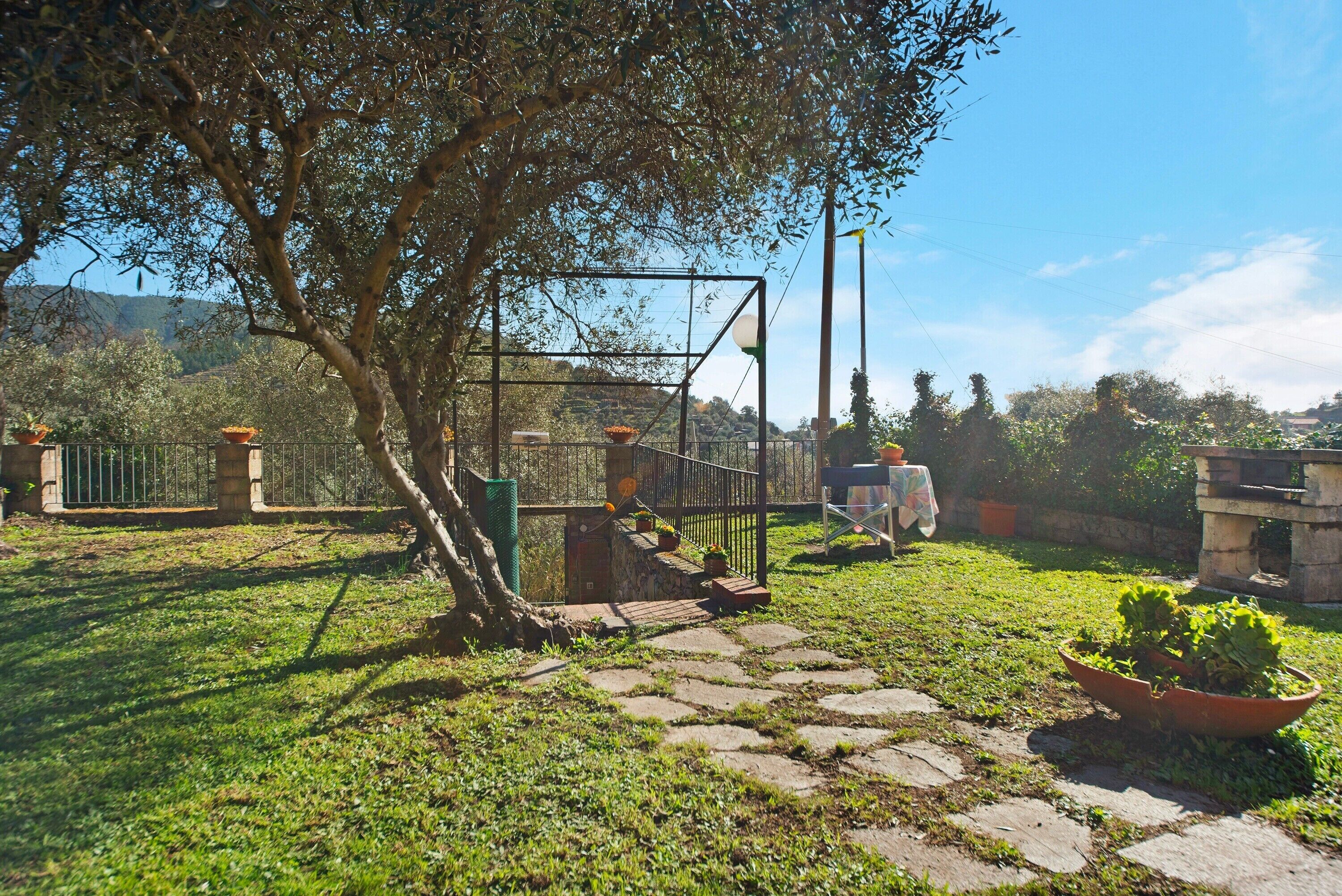 Un jardín con un sendero de piedra, una valla metálica y un árbol.