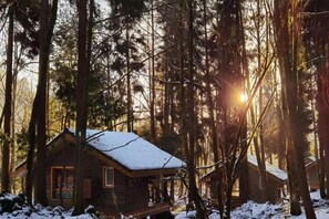 A cabin surrounded by trees with a snow-covered roof, set in a forest. - Heizhugou Midou Hotel (Ebian)