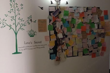 Detalle del interior. Liuzhou Old Tree Youth Hostel