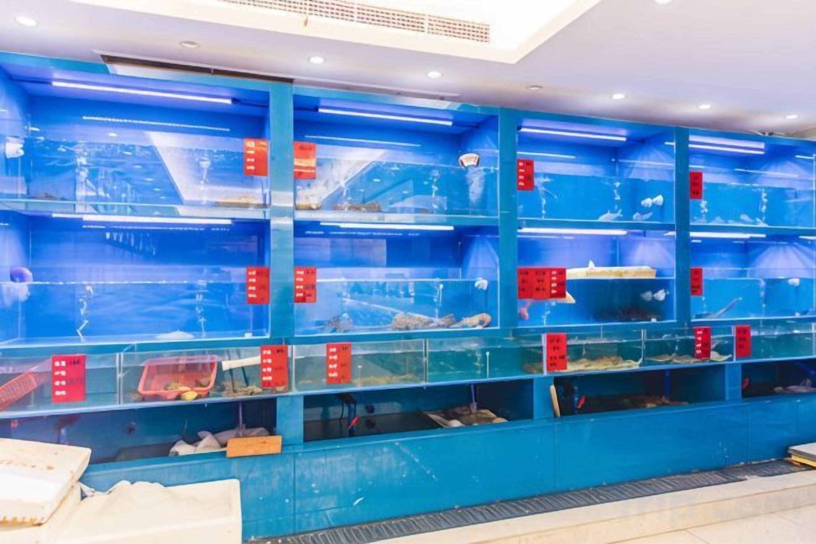 A series of aquariums with fish tanks, each labeled with a red sign.