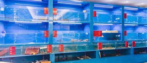 A series of aquariums with fish tanks, each labeled with a red sign.