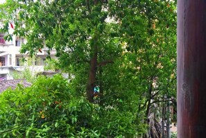 Property grounds - Nanxijiang Jintai Hotel (Yongjia)